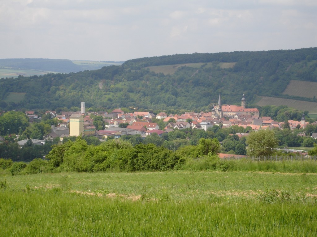 Blick auf Weikersheim